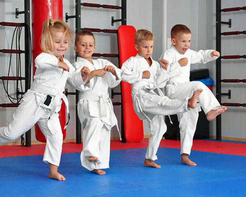 Aikido Masters Children Students