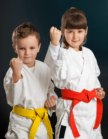 Aikido Masters Children’s Program