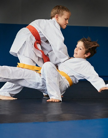 Aikido Masters Youth Program